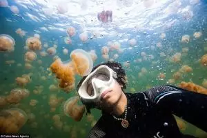 Kuasai 10 tips praktis foto underwater ini biar jepretanmu makin keren
