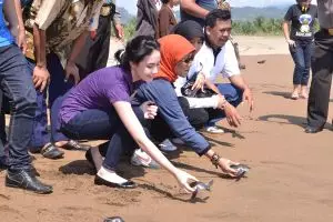 Eitss, jangan remehkan Trenggalek, kota ini punya 10 pantai keren! 