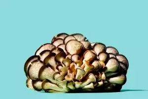 Jarang disadari ternyata 13 bahan makanan ini terbukti sehat lho!