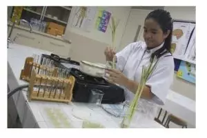 Puding pembersih tangan ciptaan siswa SMA ini hemat air 99 persen!