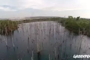 Foto-foto kerusakan alam di Kalimantan akibat tambang batubara