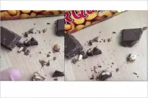 Aneh tapi nyata, coklat Silverqueen ini berisi ulat menjijikkan!