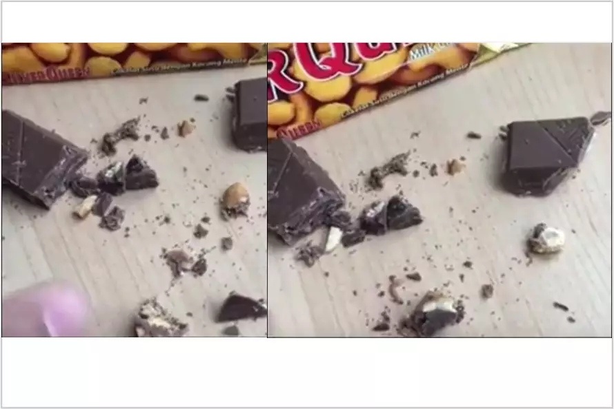 Aneh tapi nyata, coklat Silverqueen ini berisi ulat menjijikkan!