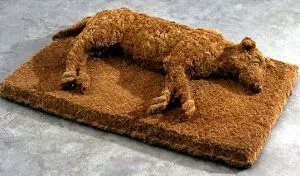 20 Keset lucu ini bikin kamu nggak tega untuk menginjaknya, suka deh!