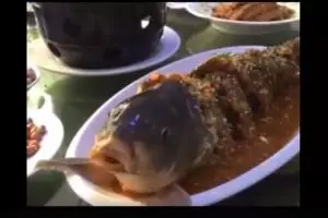 Cara masak ikan di restoran ini bikin banyak orang murka, kenapa ya?
