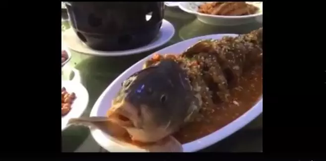 Cara masak ikan di restoran ini bikin banyak orang murka, kenapa ya?