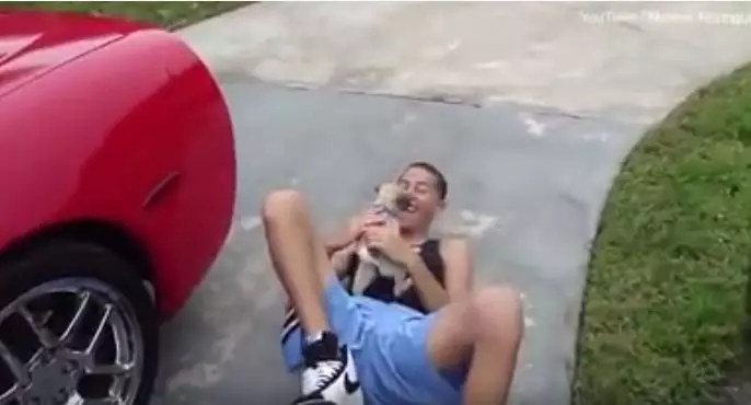 Tak diduga, tingkah orang dapat hewan peliharaan baru ini bikin haru