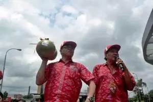 Hanya di sini, dua buah jeruk Bali dihargai Rp 3 juta