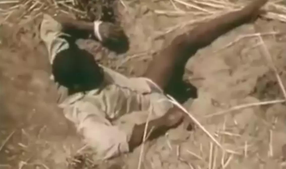 Aksi menantang maut, pria ini umpankan kaki untuk menangkap piton!