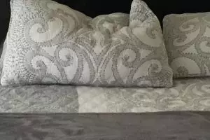 Kamu jenius jika dapat temukan anjing di gambar ini dalam 2 detik!  