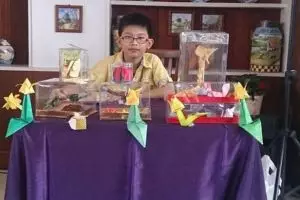 Tekuni origami, bocah 12 tahun ini ikuti olimpiade hingga bikin buku