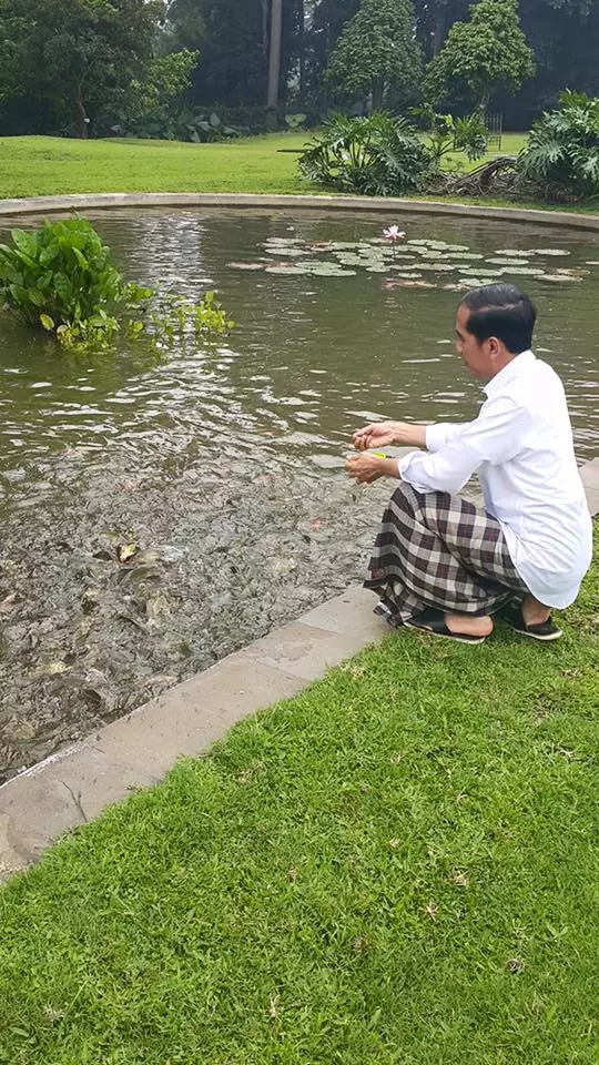 Ini alasan Presiden Jokowi lebih suka di Bogor dibanding Jakarta