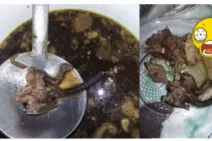 Heboh rawon pakai daging tikus! Kalau bener, tega banget penjualnya