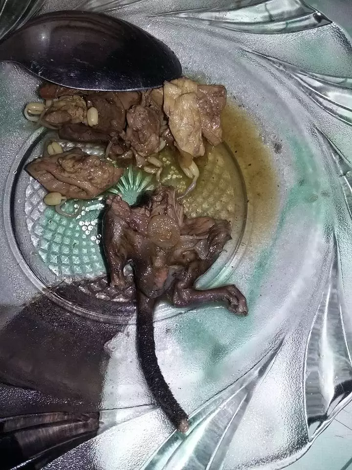 Heboh rawon pakai daging tikus! Kalau bener, tega banget penjualnya