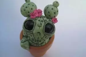 Bikin ruangan kamu makin cantik dengan kaktus spesial ini