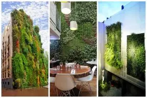 Hiasi dinding pakai wallpaper itu biasa! Pakai tanaman, baru keren!