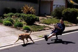 Duh, 18 foto ini tingkah laku orang yang mager abis, kamu pernah? 