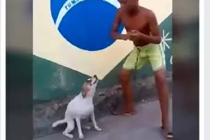 VIDEO : Goyang Samba anjing dan pemiliknya, keren!