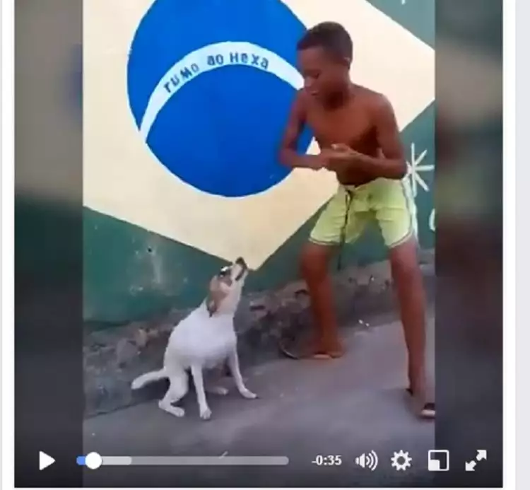 VIDEO : Goyang Samba anjing dan pemiliknya, keren!