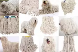 Kalau kamu melotot & tersenyum lihat 8 foto ini, kamu cerdas! 