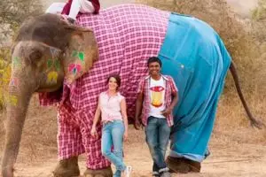 10 Hewan ini penampilannya tak biasa, dijamin lucu & ngegemesin banget