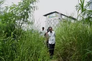Presiden Jokowi terjang ilalang setinggi orang dewasa, ngapain ya?