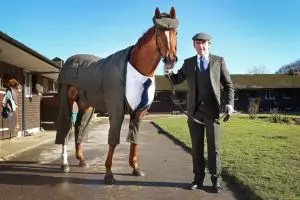 Tak mau kalah gagah dengan tuannya, kuda ini juga pakai jas lengkap!