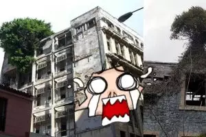 13 Pohon yang hidup di tempat tak biasa ini bikin melongo, ajaib!