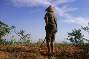 7 Sebab tak terduga kenapa lansia masih punya etos kerja luar biasa