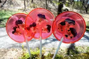 13 Lolipop ini berisi bunga cantik, bikin nggak tega melahapnya!
