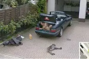 20 Momen absurd yang pernah tertangkap Google Street View, kocak!