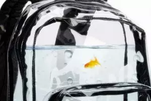 Unik, tas transparan ini bisa jadi akuarium lho....