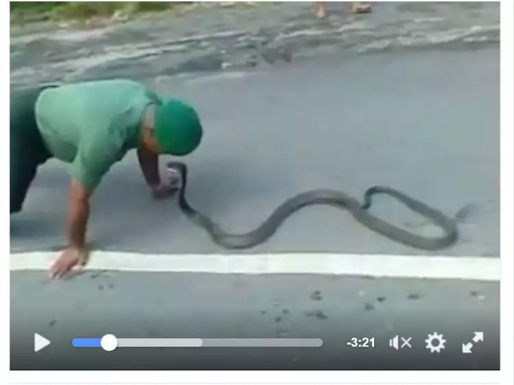 Prajurit TNI 'mainkan' ular berbisa ini dengan santai, wow!