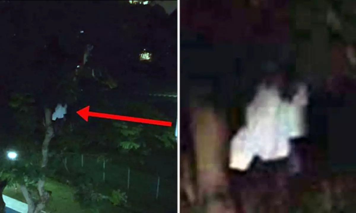 Sosok berbaju putih gelantungan di pohon bikin geger netizen, serem!