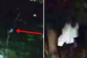 Sosok berbaju putih gelantungan di pohon bikin geger netizen, serem!