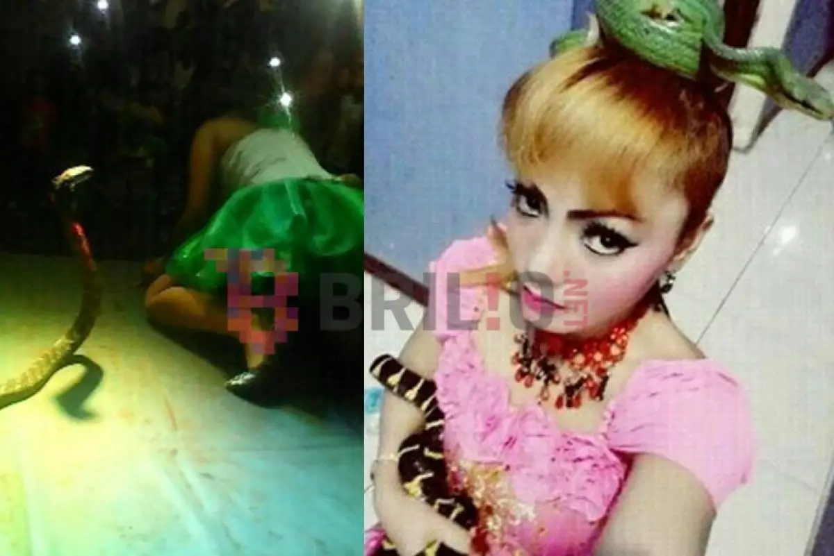 Joget dengan ular berbisa, penyanyi dangdut Irma Bule tewas digigit