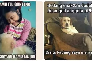 14 Meme ngenesnya nasib anjing, sering jadi umpatan ketika kena sial!