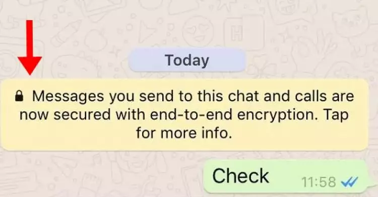 Kamu dapat pesan aneh di aplikasi WhatsAppmu? Ini maksud & artinya