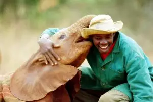 Panti asuhan ini khusus disediakan untuk anak gajah terlantar, brilio!