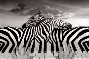 23 Editan foto hitam-putih ini buktikan editor fotonya kelas wahid