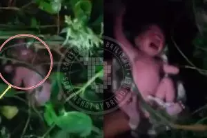 Tega nian orangtua yang membuang bayi di semak-semak rumah kosong ini