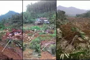 Ngerinya tanah longsor, pohon kelapa berpindah tempat sekejap mata