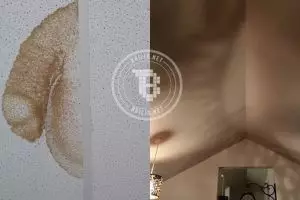 17 Gambar ini menguji pikiran kotormu, awas terperangkap!