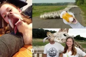 20 Photobomb hewan, dari yang ngerusak momen sampai bikin ketawa