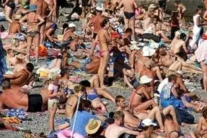 Jika kamu bisa temukan kucing pada 10  foto ini, matamu super tajam!