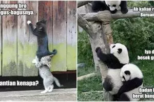 20 Foto ini buktikan hewan juga bisa kerjasama tim layaknya manusia