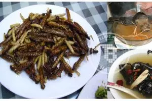 Begitu melihat, 13 makanan menjijikkan ini bikin nafsu makanmu hilang!