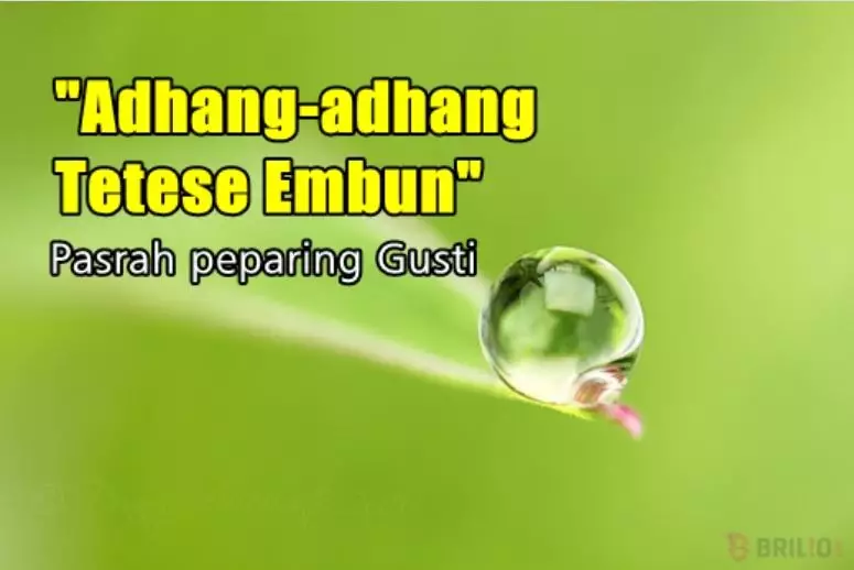 95 Pepatah Jawa kuno istimewa 95 Pepatah Jawa kuno istimewa