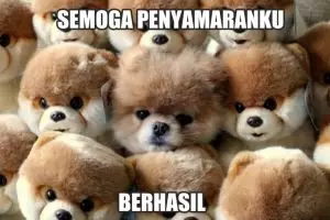 20 Tingkah hewan main petak umpet ini malah bikin ketawa geli