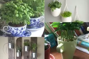 17 Desain kebun dalam rumah ini simpel dan sejuk, bikin yuk!